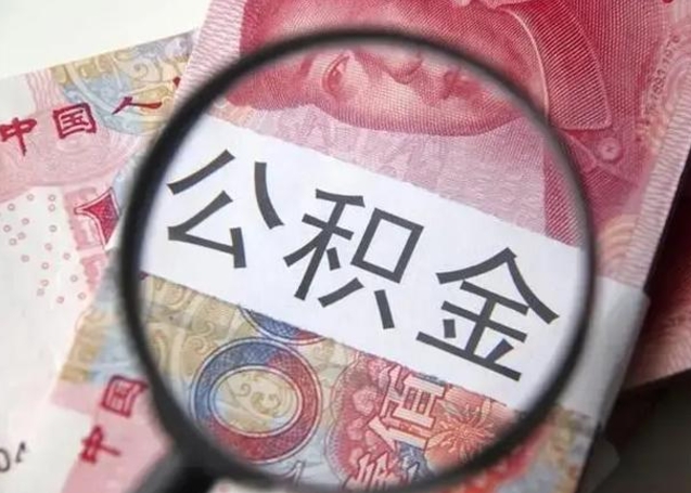 禹州广州户口公积金怎么提取（禹州广州市户口公积金提取）